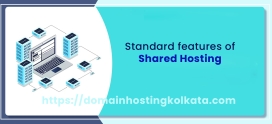 What should be the standard features of shared hosting?